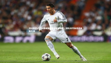 乐竟体育app|河北队正式宣布挪威国脚塞尔纳斯加盟，球队攻守体系迎来新升级